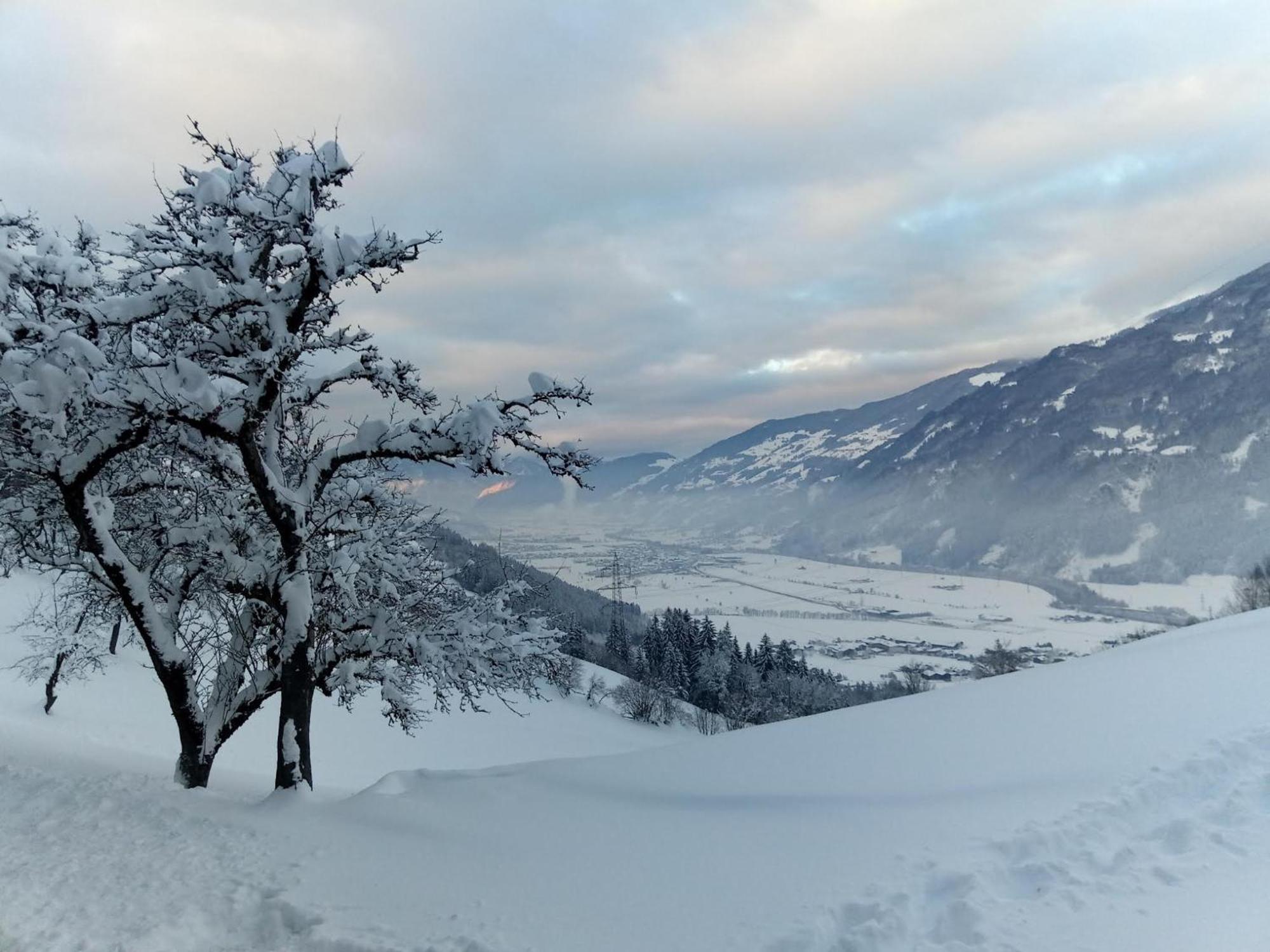 Wieshof Kaltenbach Exteriör bild