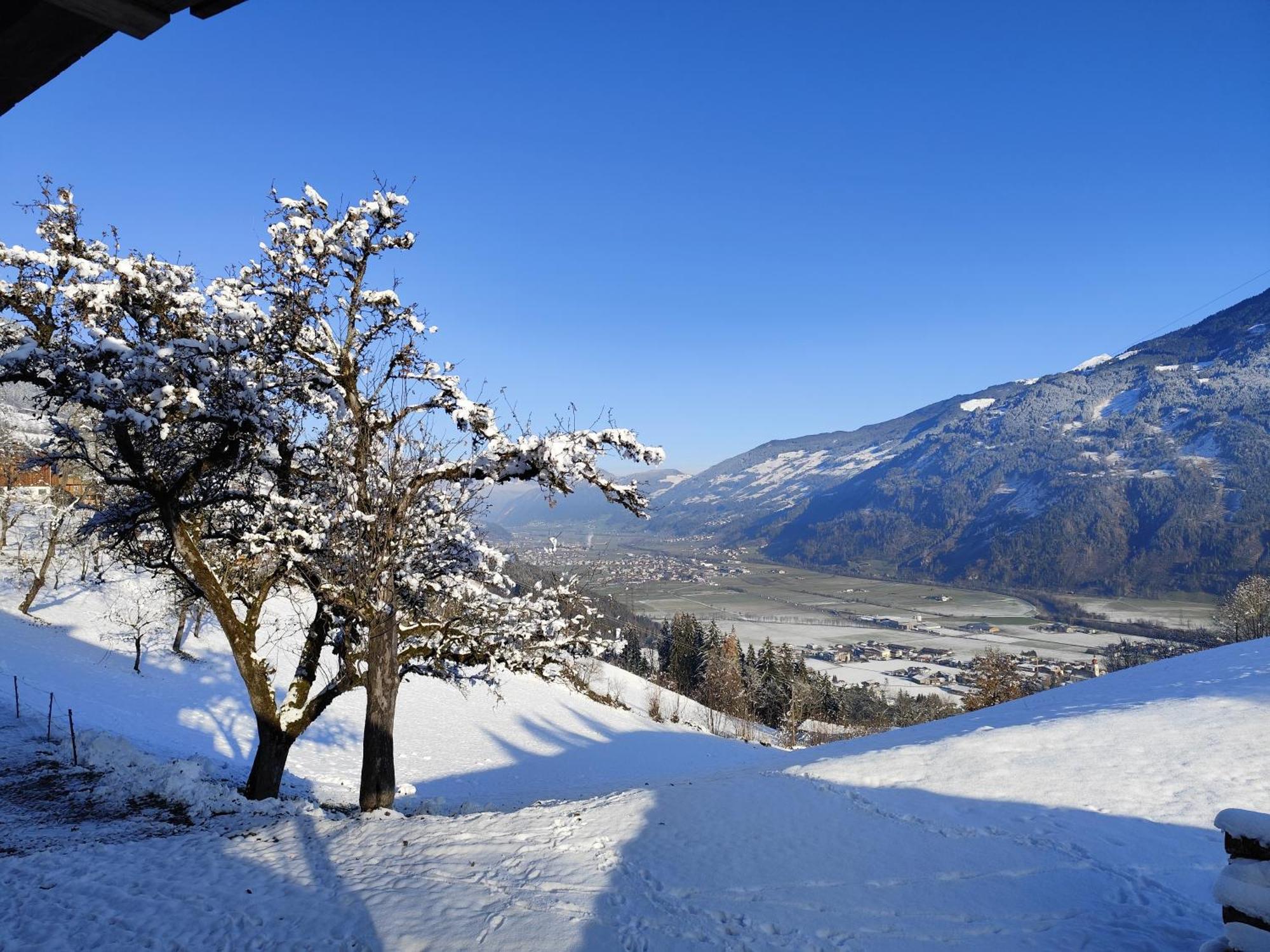 Wieshof Kaltenbach Exteriör bild