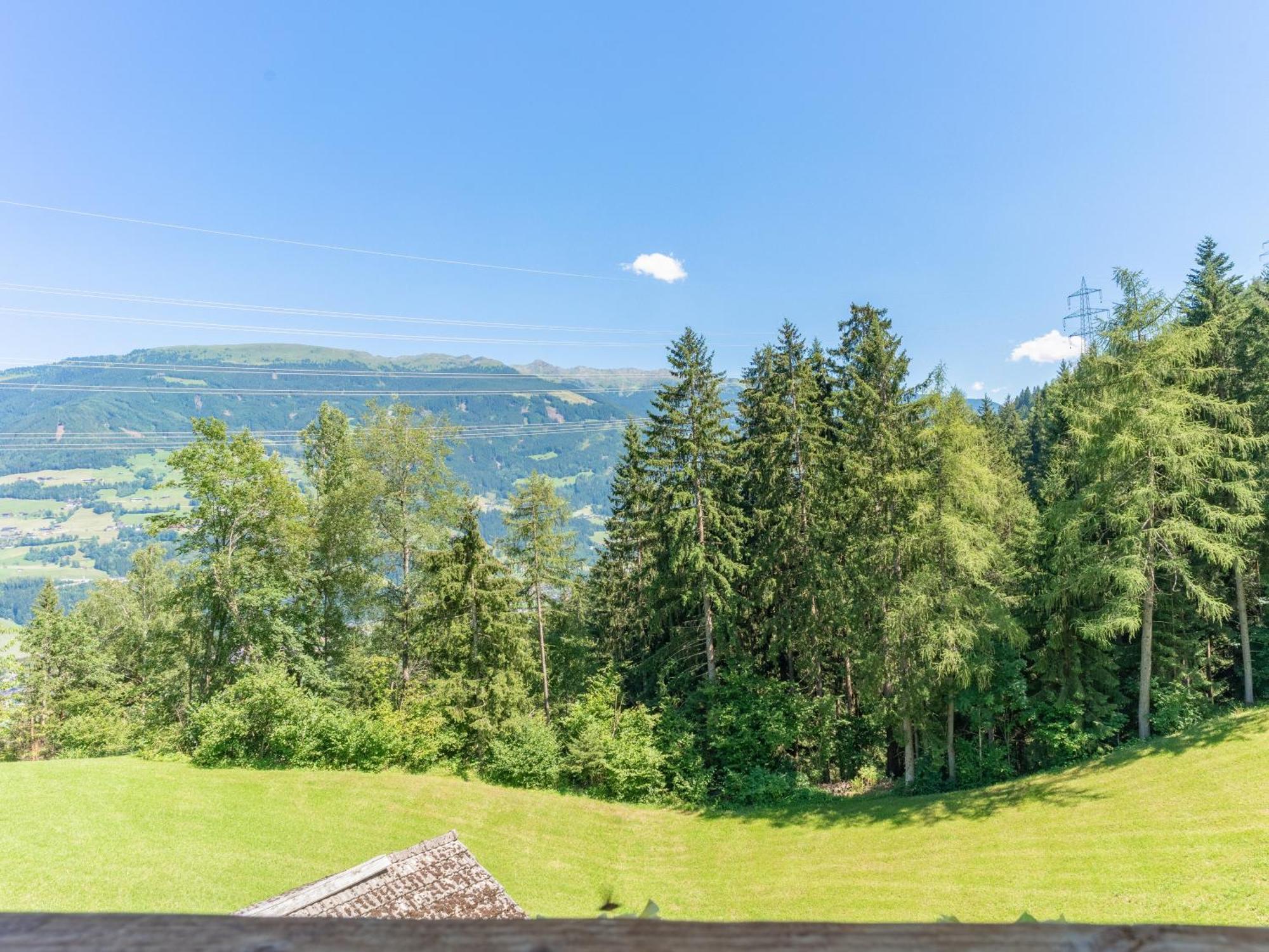 Wieshof Kaltenbach Rum bild