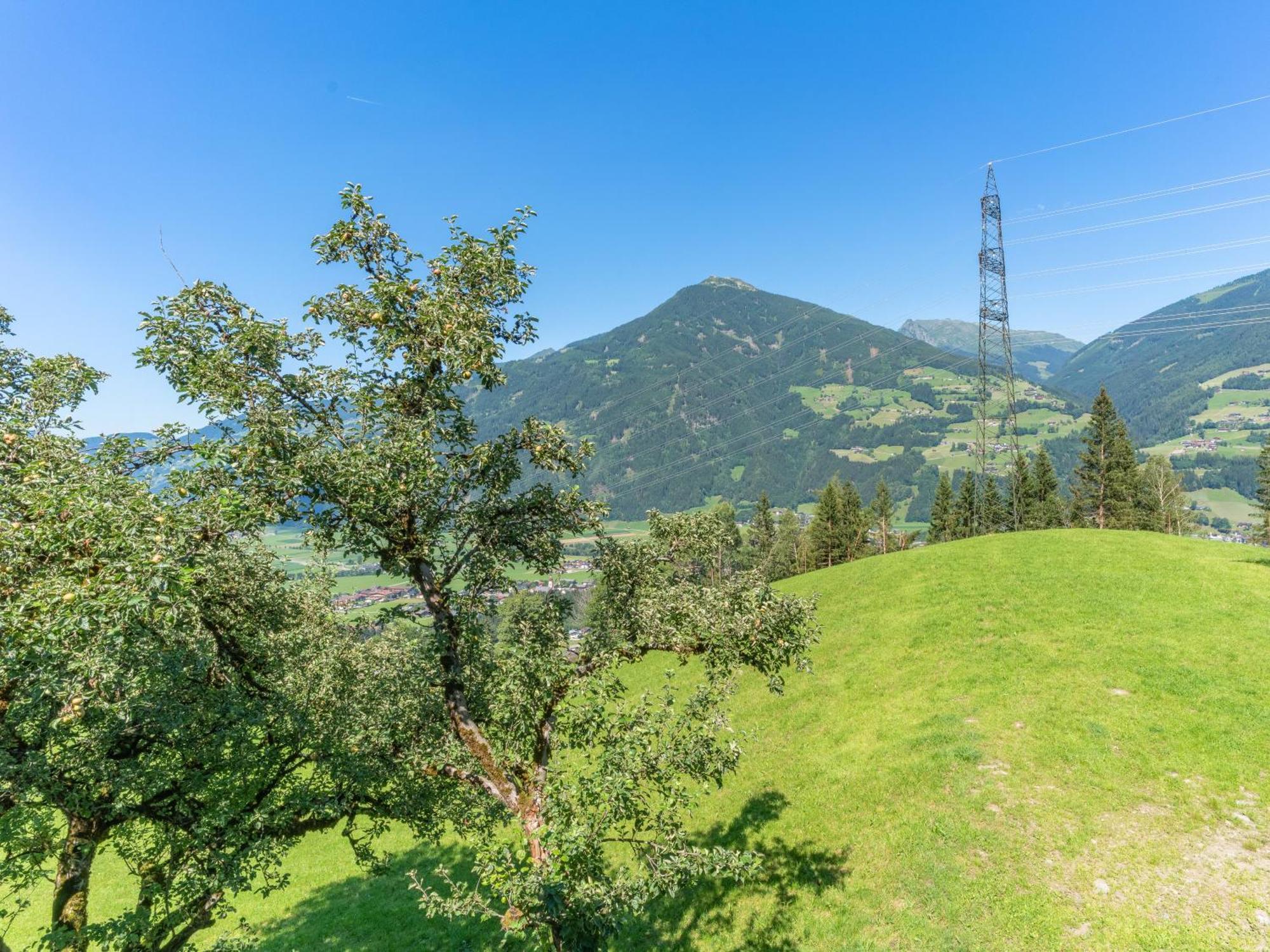 Wieshof Kaltenbach Rum bild