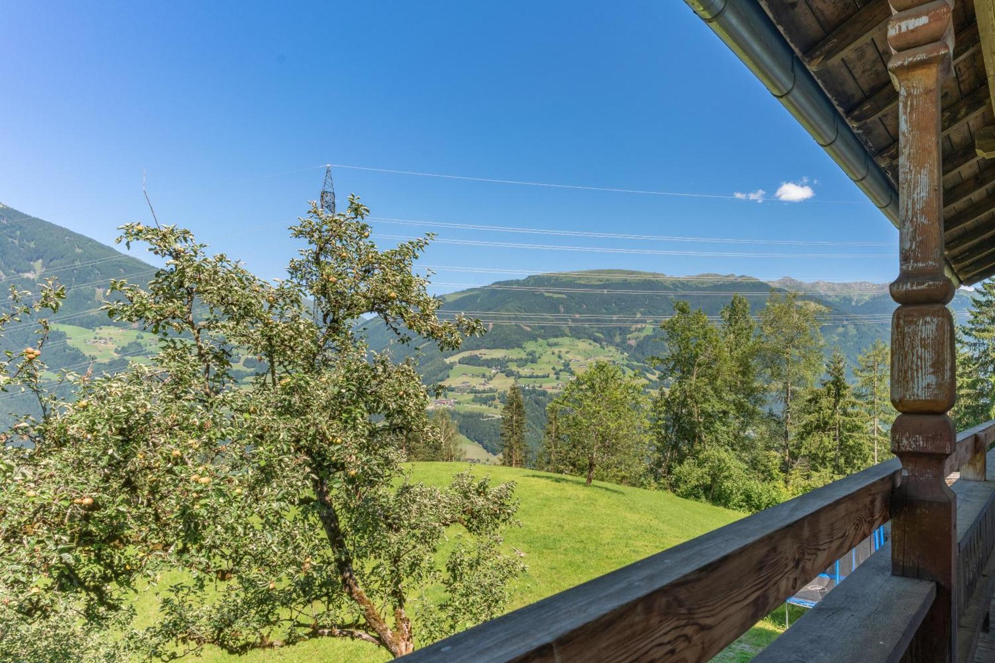 Wieshof Kaltenbach Rum bild