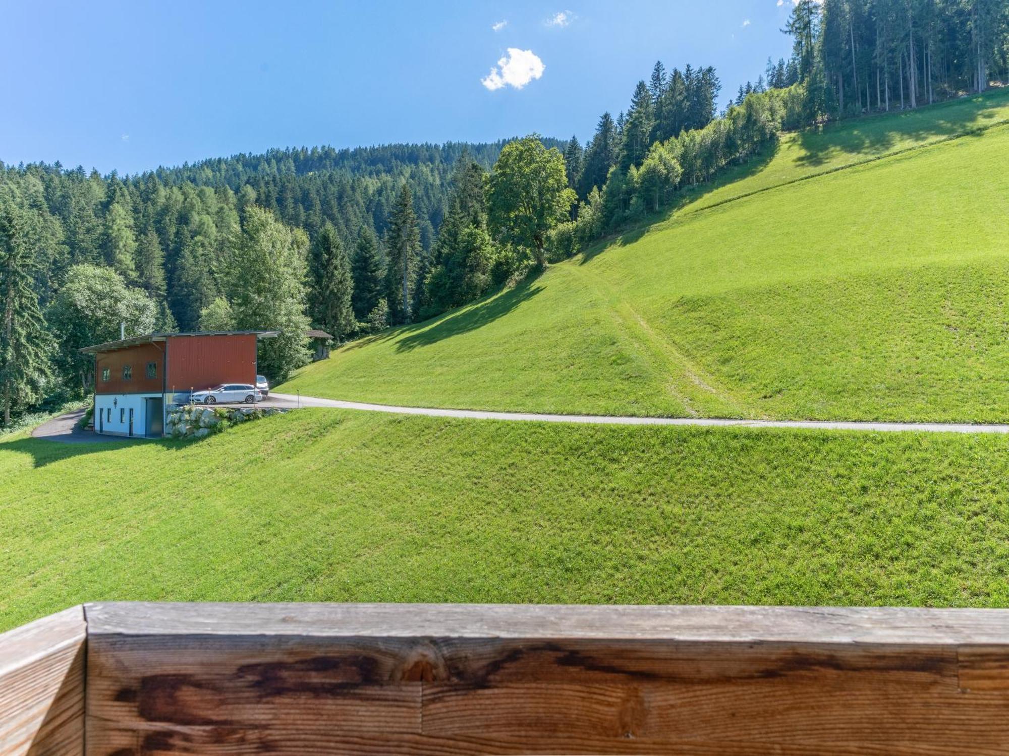 Wieshof Kaltenbach Rum bild